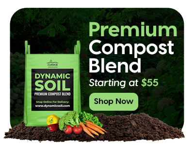 Dynamic Compost Soil Blend